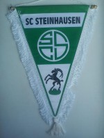 /album/steinhausen1/sc-steinhausen-36-jpg1/